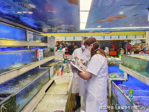 北京因疫情多地進入戰(zhàn)時狀態(tài) 專家 這輪病毒或來自歐洲