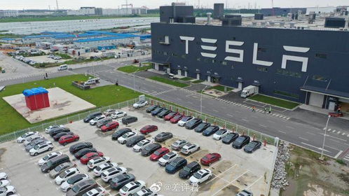 或為營銷 特斯拉上海工廠現神秘空投箱